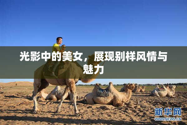 光影中的美女，展现别样风情与魅力