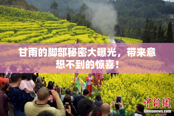 甘雨的脚部秘密大曝光，带来意想不到的惊喜！