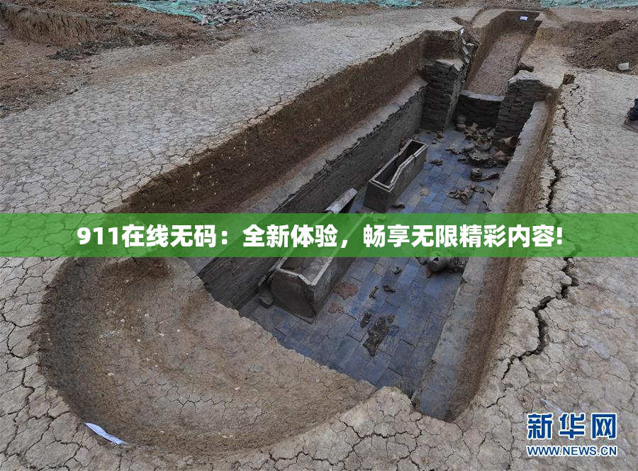 911在线无码：全新体验，畅享无限精彩内容!