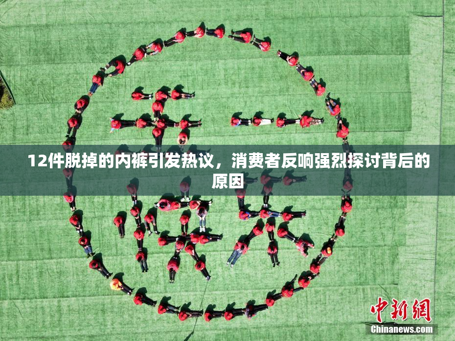 12件脱掉的内裤引发热议，消费者反响强烈探讨背后的原因