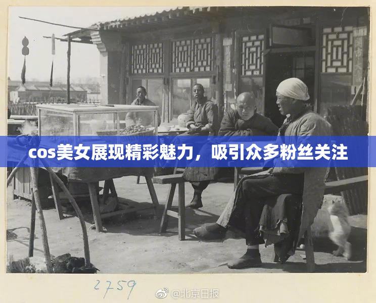 cos美女展现精彩魅力，吸引众多粉丝关注