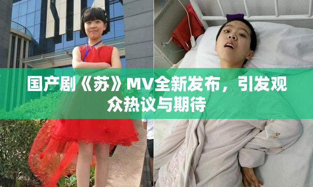 国产剧《苏》MV全新发布，引发观众热议与期待