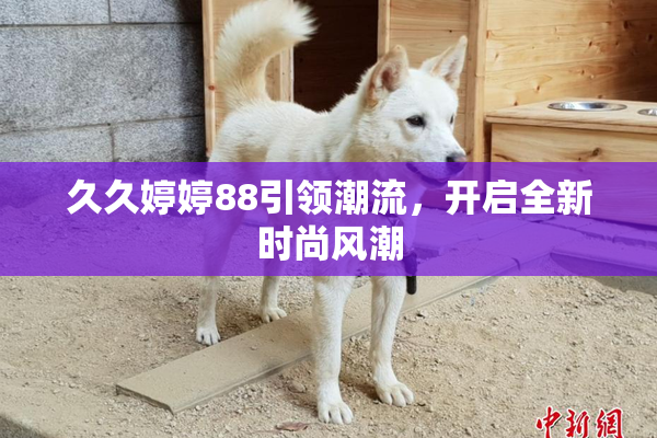 久久婷婷88引领潮流，开启全新时尚风潮