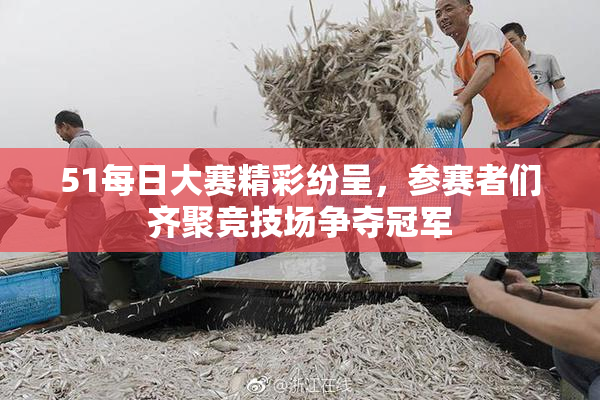 51每日大赛精彩纷呈，参赛者们齐聚竞技场争夺冠军