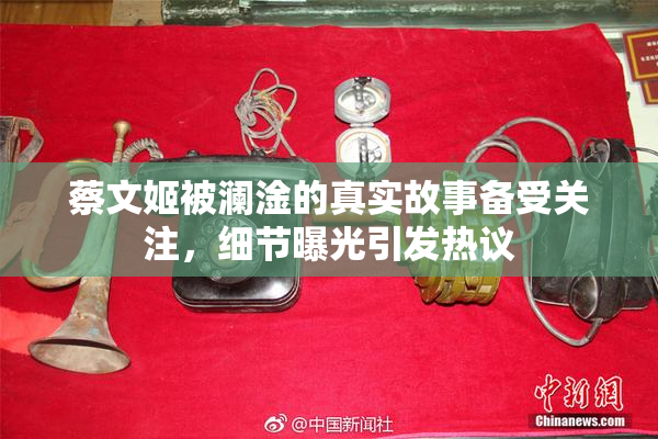 蔡文姬被澜淦的真实故事备受关注，细节曝光引发热议