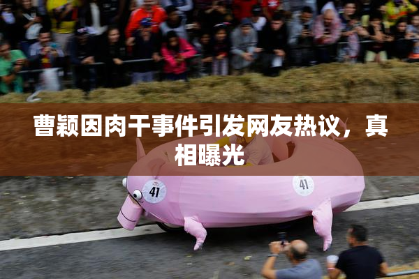 曹颖因肉干事件引发网友热议，真相曝光
