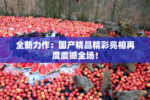 全新力作：国产精品精彩亮相再度震撼全场！