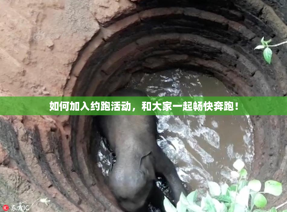 如何加入约跑活动，和大家一起畅快奔跑！