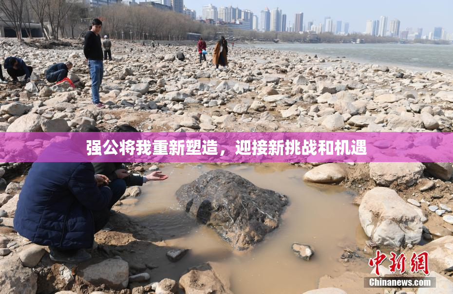 强公将我重新塑造，迎接新挑战和机遇