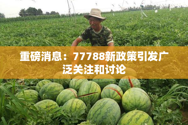 重磅消息：77788新政策引发广泛关注和讨论
