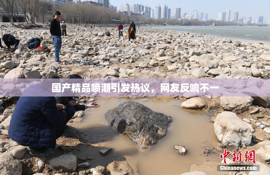国产精品喷潮引发热议，网友反响不一