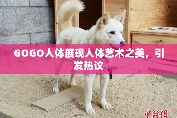 GOGO人体展现人体艺术之美，引发热议