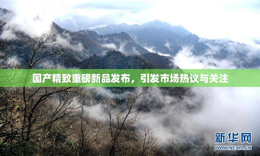 国产精致重磅新品发布，引发市场热议与关注