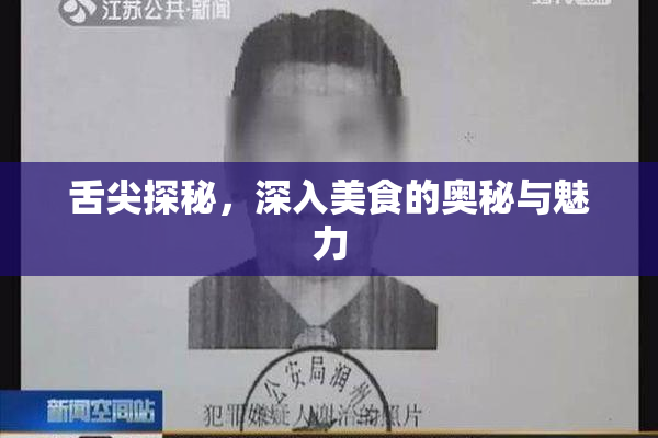 舌尖探秘，深入美食的奥秘与魅力