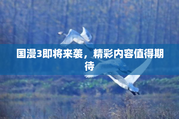 国漫3即将来袭，精彩内容值得期待