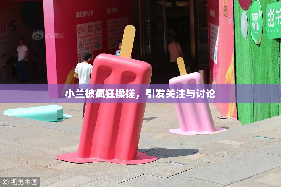 小兰被疯狂揉搓，引发关注与讨论