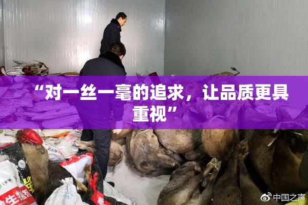 “对一丝一毫的追求，让品质更具重视”