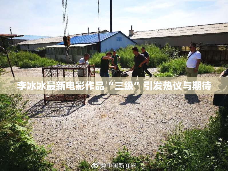 李冰冰最新电影作品“三级”引发热议与期待