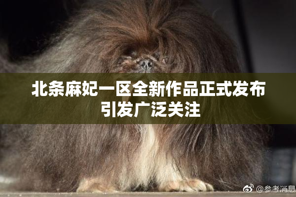 北条麻妃一区全新作品正式发布 引发广泛关注