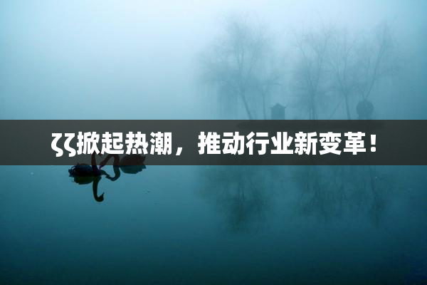 ζζ掀起热潮，推动行业新变革！