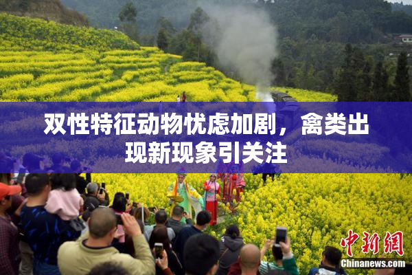 双性特征动物忧虑加剧，禽类出现新现象引关注
