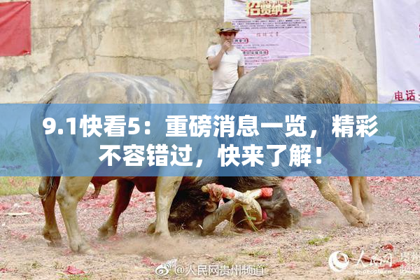 9.1快看5：重磅消息一览，精彩不容错过，快来了解！