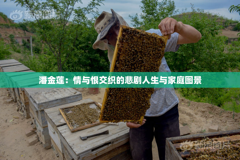 潘金莲：情与恨交织的悲剧人生与家庭图景