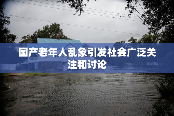 国产老年人乱象引发社会广泛关注和讨论