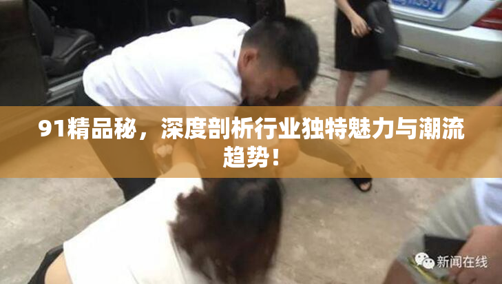 91精品秘，深度剖析行业独特魅力与潮流趋势！