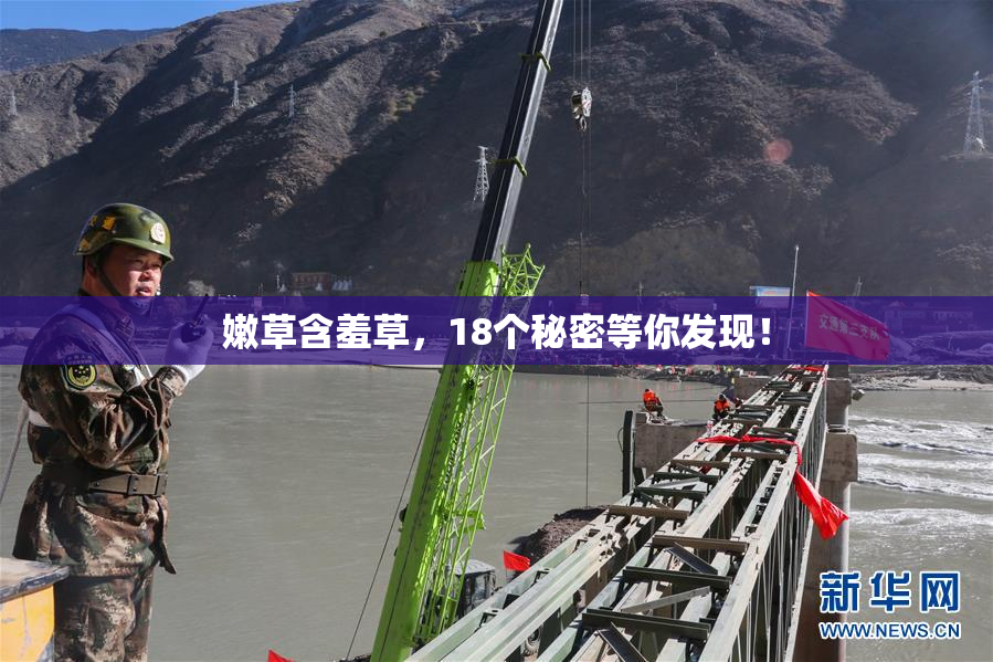 嫩草含羞草，18个秘密等你发现！