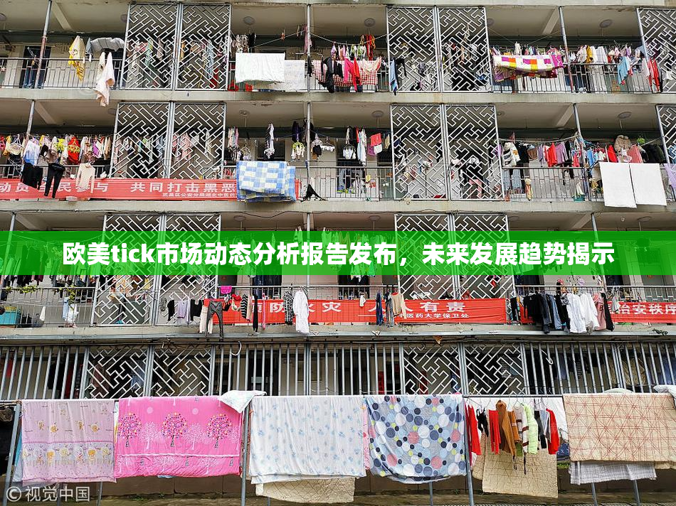 欧美tick市场动态分析报告发布，未来发展趋势揭示