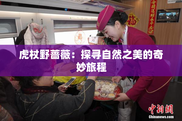 虎杖野蔷薇：探寻自然之美的奇妙旅程