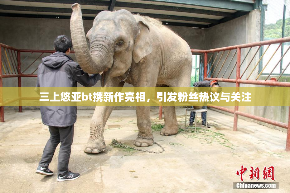 三上悠亚bt携新作亮相，引发粉丝热议与关注