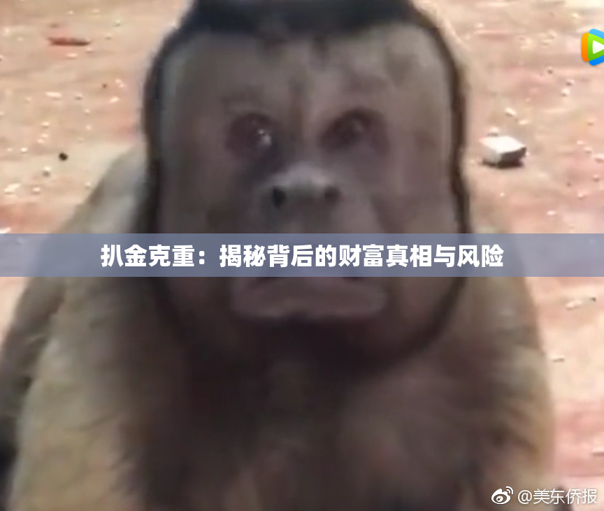 扒金克重：揭秘背后的财富真相与风险
