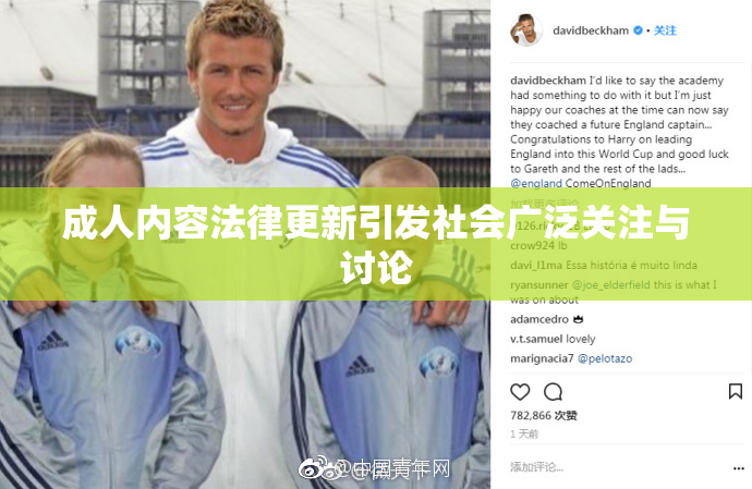 成人内容法律更新引发社会广泛关注与讨论