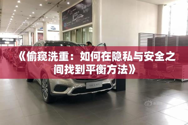 《偷窥洗重：如何在隐私与安全之间找到平衡方法》