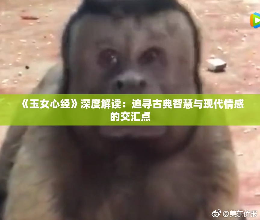 《玉女心经》深度解读：追寻古典智慧与现代情感的交汇点