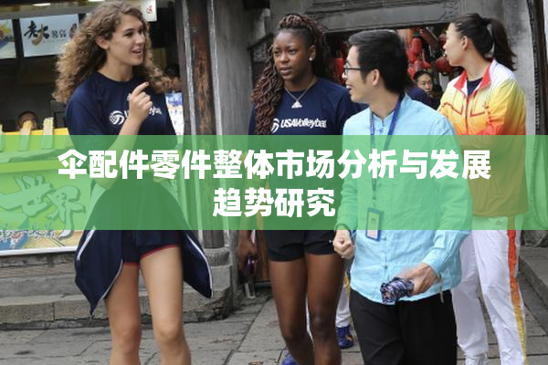 伞配件零件整体市场分析与发展趋势研究