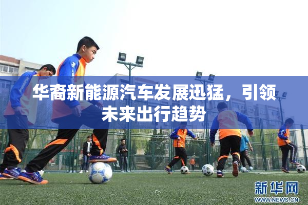 华裔新能源汽车发展迅猛，引领未来出行趋势