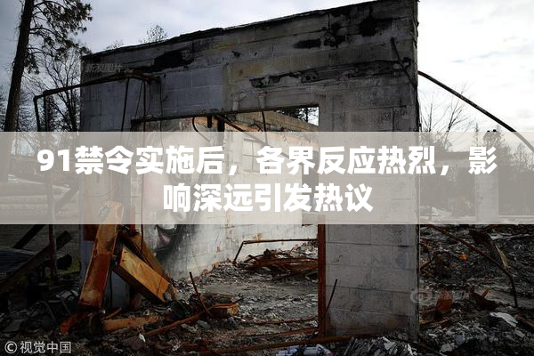 91禁令实施后，各界反应热烈，影响深远引发热议