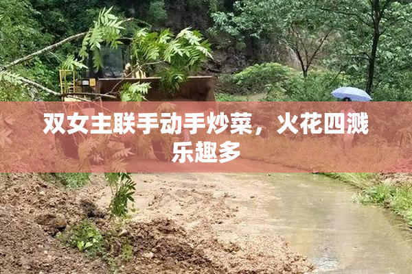 双女主联手动手炒菜，火花四溅乐趣多