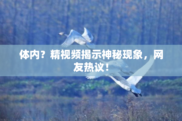 体内？精视频揭示神秘现象，网友热议！