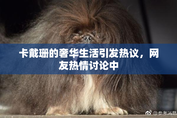 卡戴珊的奢华生活引发热议，网友热情讨论中