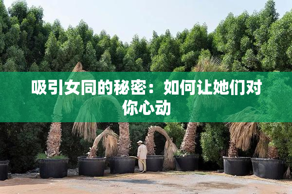 吸引女同的秘密：如何让她们对你心动