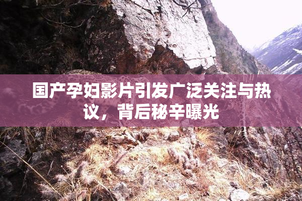 国产孕妇影片引发广泛关注与热议，背后秘辛曝光