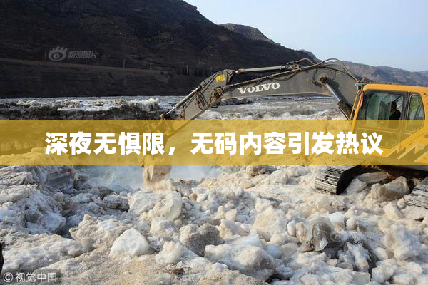 深夜无惧限，无码内容引发热议