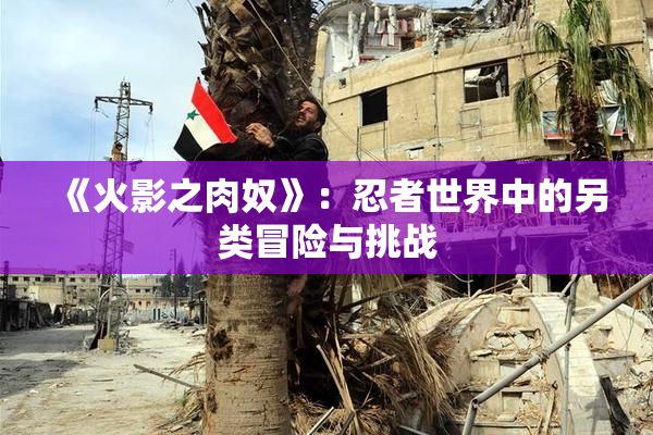 《火影之肉奴》：忍者世界中的另类冒险与挑战