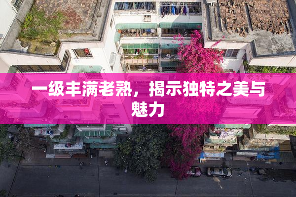 一级丰满老熟，揭示独特之美与魅力