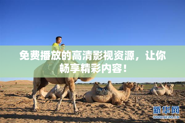 免费播放的高清影视资源，让你畅享精彩内容！