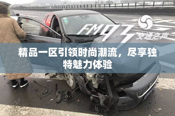 精品一区引领时尚潮流，尽享独特魅力体验